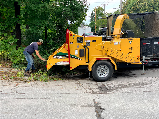 Tree Removal - Tree Cutting Services -Stump removal Ottawa - JFS Enterprises