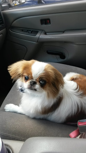 Pet Supply Store «Petco Animal Supplies», reviews and photos, 7400 Rivers Ave z, North Charleston, SC 29406, USA