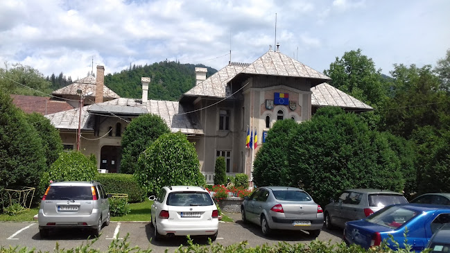 Primăria Orașului Bicaz - Serviciu de Paza