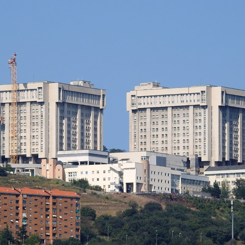 Cattinara Hospital