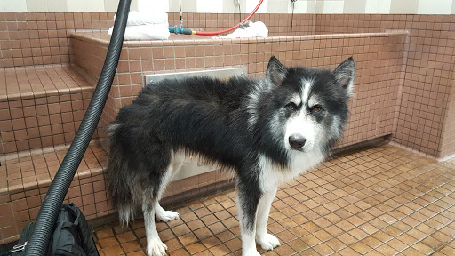 Pet Supply Store «Pet Food Express», reviews and photos, 2531 Fair Oaks Blvd, Sacramento, CA 95825, USA