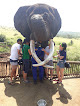 Durban safari and tours. Big Five safaris from Durban city. DurbanSafaris.com Durban