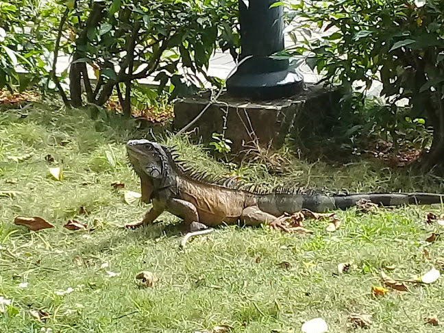 Parque Central - Esmeraldas