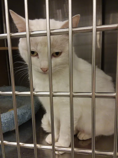 Pet Supply Store «PetSmart», reviews and photos, 8660 Airline Hwy, Baton Rouge, LA 70815, USA