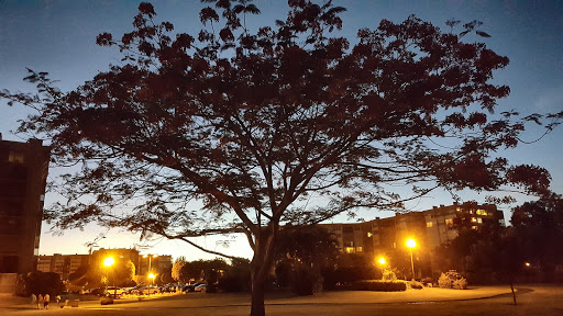 Golf Course «Pembroke Lakes Golf», reviews and photos, 10500 Taft St, Pembroke Pines, FL 33026, USA