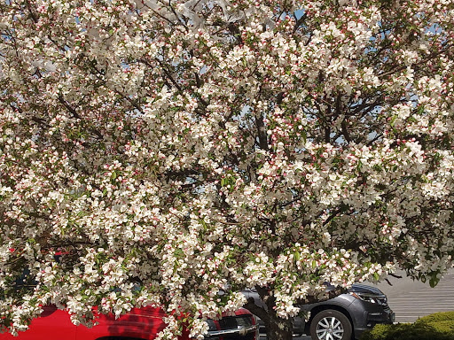 Home Improvement Store «The Home Depot», reviews and photos, 12 Commercial Dr, Somersworth, NH 03878, USA