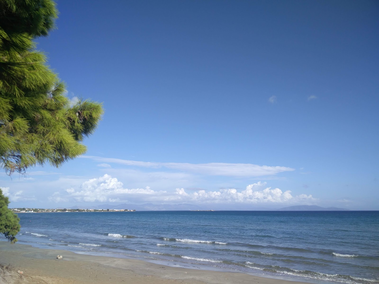 Artemis beach'in fotoğrafı - rahatlamayı sevenler arasında popüler bir yer