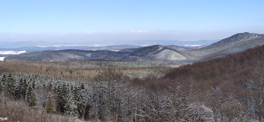 Pál-Bikk tető