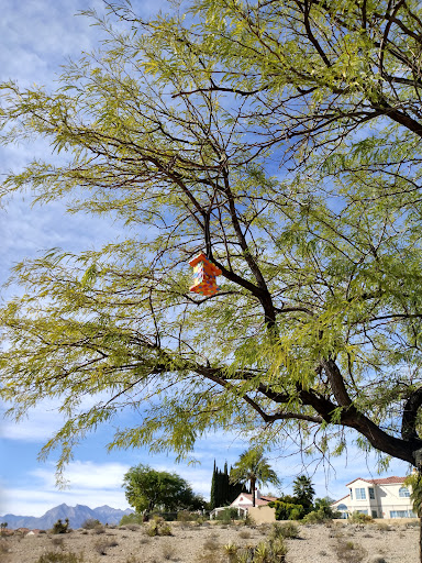 Park «Pueblo Park», reviews and photos, Peublo Vista Dr, Las Vegas, NV 89128, USA