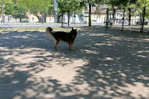 Area cani di Via Petrella image