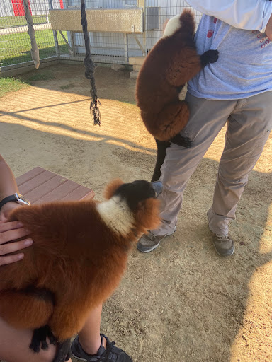 Ranch «Sharkarosa Wildlife Ranch», reviews and photos, 11670 Massey Rd, Pilot Point, TX 76258, USA