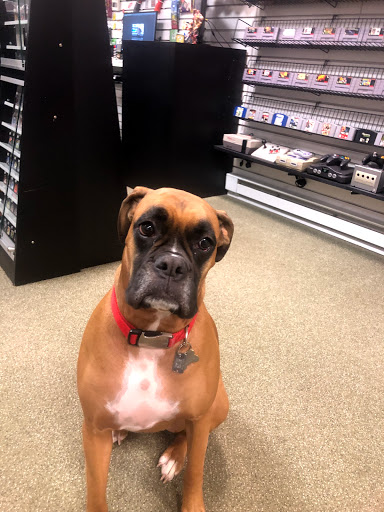 Video Game Store «1Up Games», reviews and photos, 129 Welles St, Forty Fort, PA 18704, USA