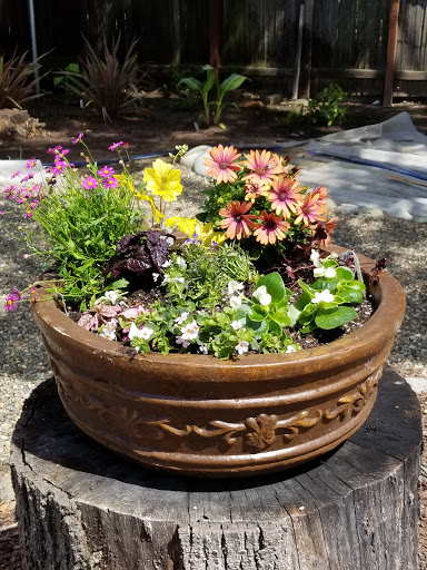 Home Goods Store «Tuesday Morning», reviews and photos, 2550 Fair Oaks Blvd, Sacramento, CA 95825, USA