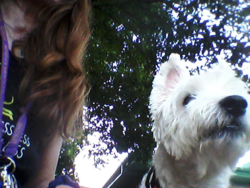 Park «Best Friend Park», reviews and photos, 6224 Jimmy Carter Blvd, Norcross, GA 30071, USA