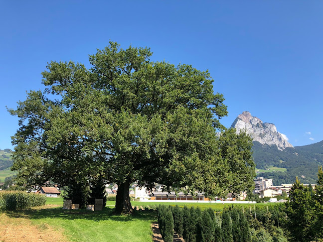 Rezensionen über Kavallerieverein Reithalle in Schwyz - Nachtclub