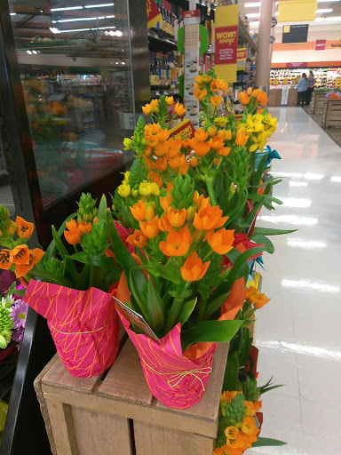 Grocery Store «Food Lion», reviews and photos, 215 Stadium St, Smyrna, DE 19977, USA