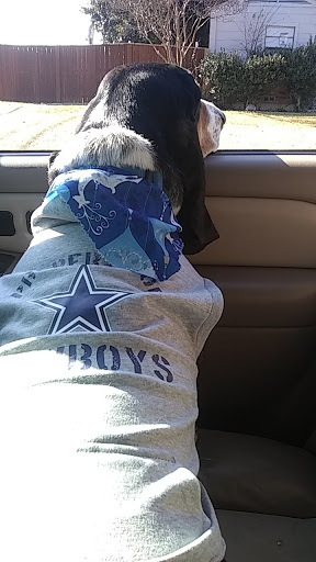 Pet Supply Store «EarthWise Pet Supply - Richardson», reviews and photos, 1310 W Campbell Rd #128, Richardson, TX 75080, USA