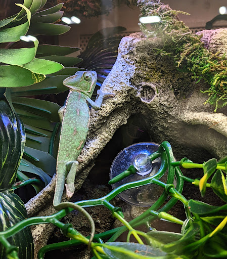 Pet Supply Store «PetSmart», reviews and photos, 5709 Liberty Grove Rd, Rowlett, TX 75089, USA