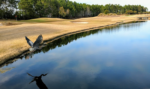 Golf Course «Legends Golf & Resort», reviews and photos, 1500 Legends Dr, Myrtle Beach, SC 29579, USA