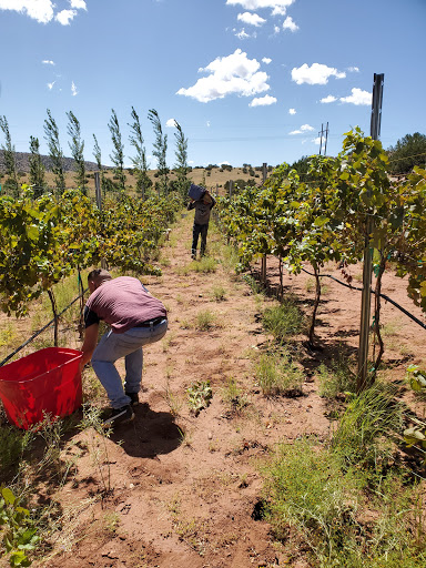 Winery «Desert Rock Winery», reviews and photos, 7302 E Helm Dr #1002, Scottsdale, AZ 85260, USA