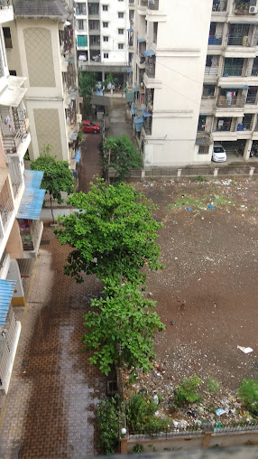 Google Maps image 32