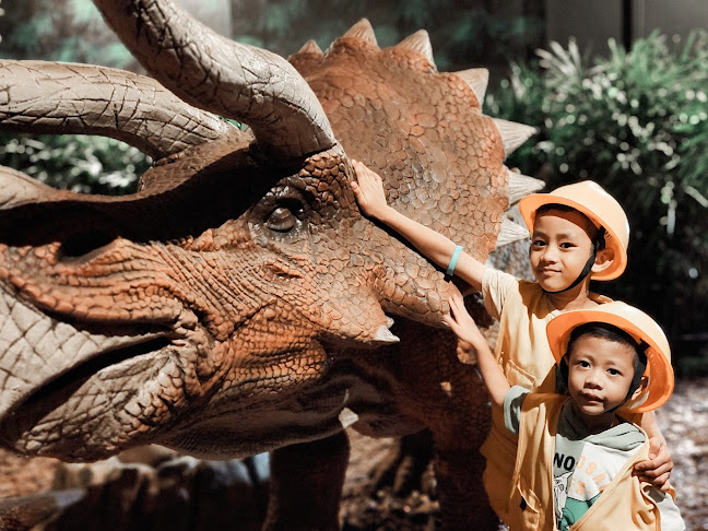 http://www.dinoland.com.sg/