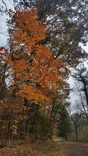 State Park «Swatara State Park», reviews and photos, 1450 Suedberg Rd, Pine Grove, PA 17963, USA