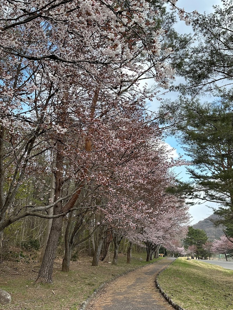 岩木山オオヤマザクラロード看板