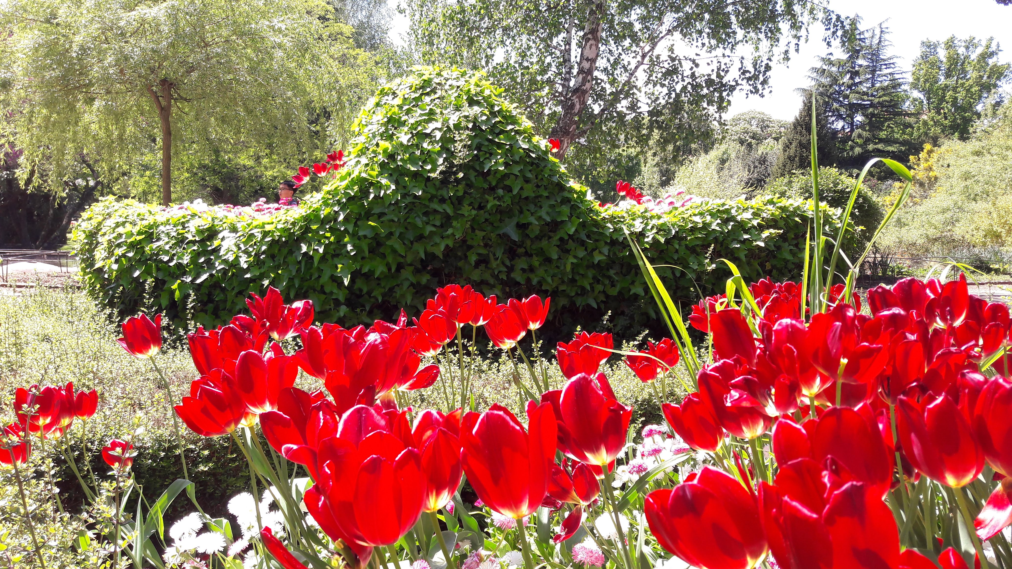Photo n° 2 de l'avis de Florian.O fait le 11/05/2018 à 14:25