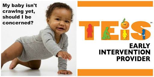 TEIS Early Intervention Provider