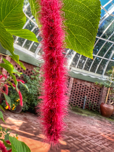 Botanical Garden «Phipps Conservatory and Botanical Gardens», reviews and photos, 1 Schenley Drive, Pittsburgh, PA 15213, USA