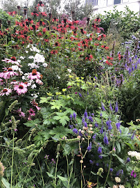 Herma's Border - Tuin- en landschapsarchitect