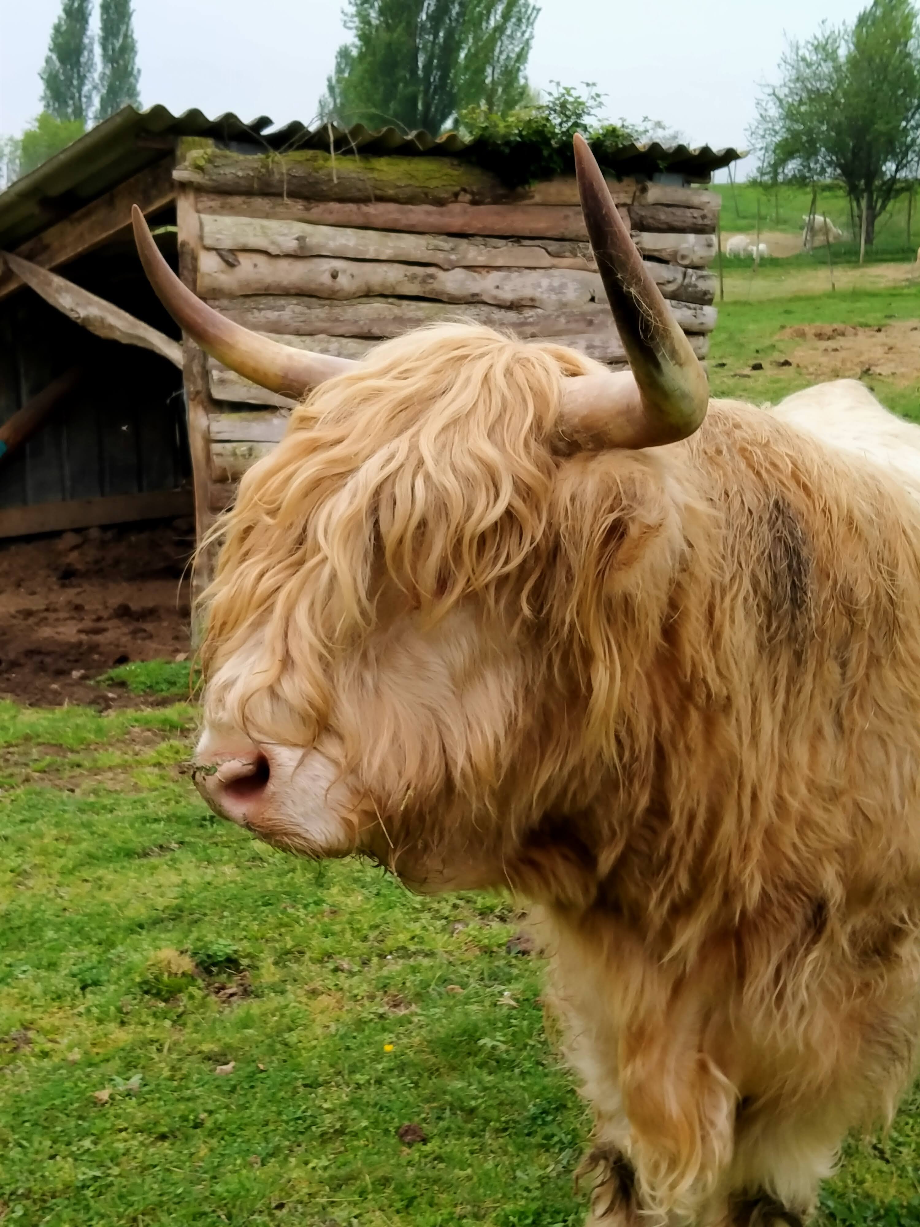 Photo n° 2 de l'avis de Marie-Annick.E fait le 22/04/2022 à 16:37