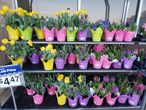 Department Store «Walmart Supercenter», reviews and photos, 505 S Dunlap St, Savoy, IL 61874, USA