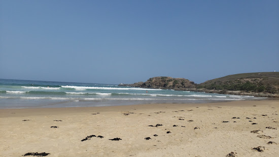 Shelly Beach