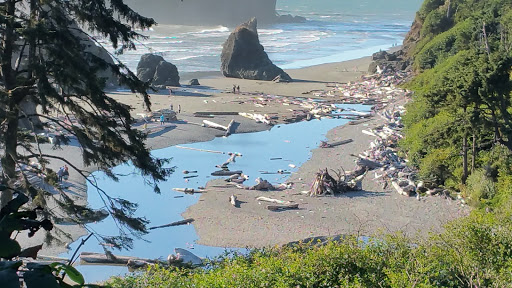 National Park «Olympic National Park», reviews and photos