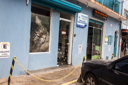 Clínica Veterinária Pet & Vet - Cotia em Cotia - SP