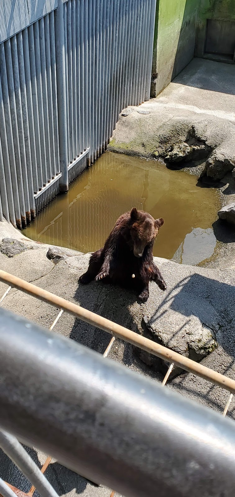 カドリー・ドミニオン ちびっこどうぶつ広場