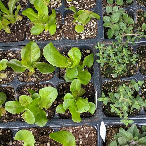 Hardware Store «San Andres Hardware», reviews and photos, 635 W Micheltorena St, Santa Barbara, CA 93101, USA