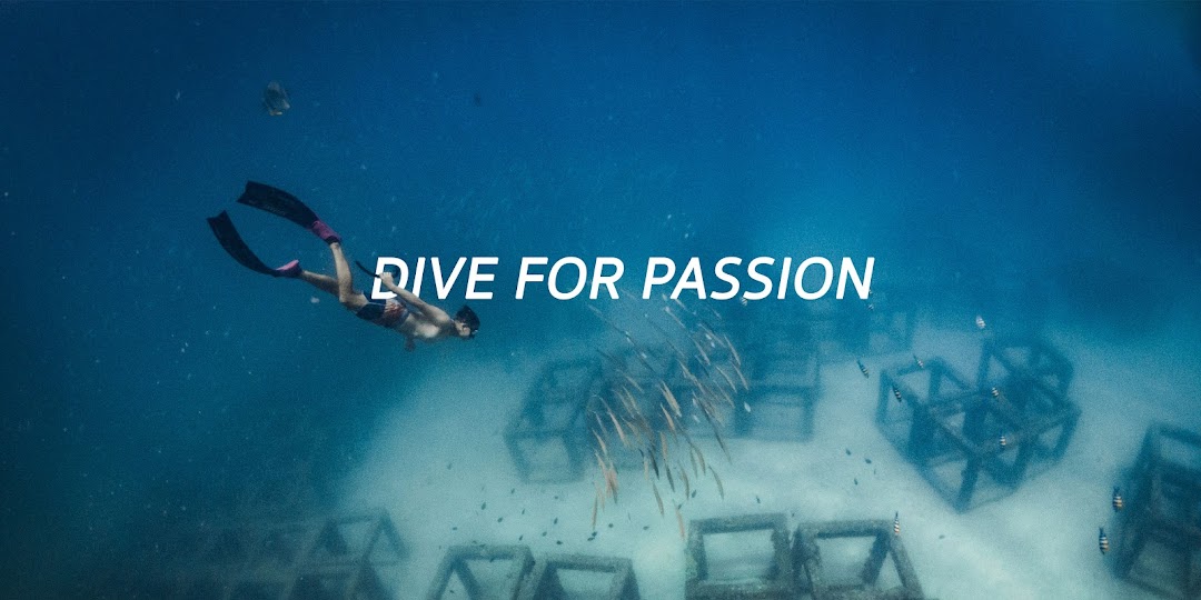 Season Dive - Freediving , Scuba diving