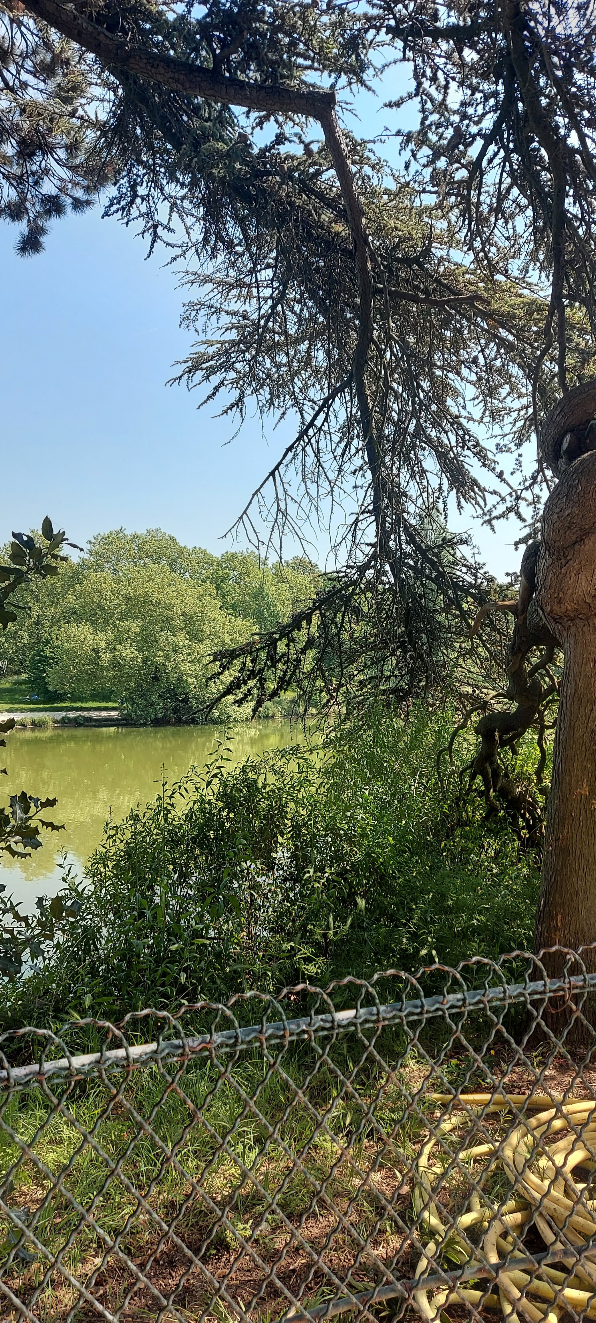 Photo n° 8 de l'avis de gwadilina.l fait le 12/05/2022 à 00:30