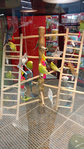 Pet Supply Store «Petco Animal Supplies», reviews and photos, 1142 Broadway, Chula Vista, CA 91911, USA