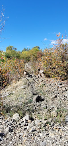 Park «Nature Park», reviews and photos, 2250 Gold Ave, Helena, MT 59601, USA