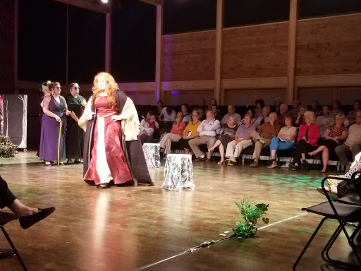 Arts Organization «HART Theatre», reviews and photos, 250 Pigeon St, Waynesville, NC 28786, USA