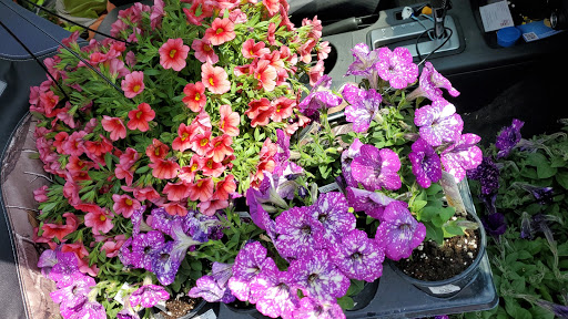 Garden Center «Binghamton Agway», reviews and photos, 145 Broad Ave, Binghamton, NY 13904, USA