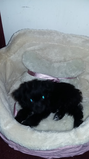 Supermarket «El Rio Bravo Supermarket», reviews and photos, 11 S 10th St, Kansas City, KS 66102, USA