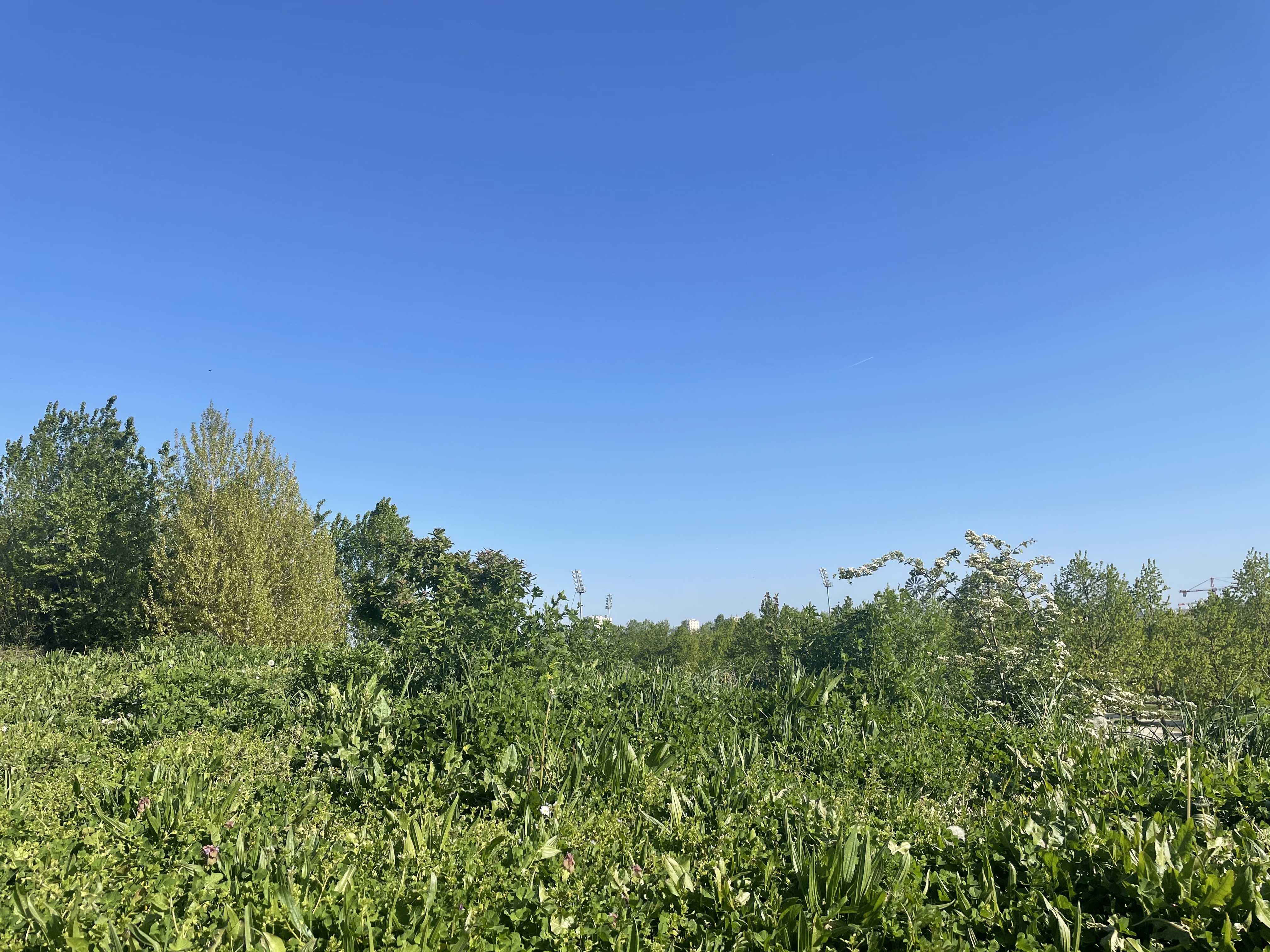 Photo n° 2 de l'avis de Tiemoco. fait le 23/04/2021 à 16:49