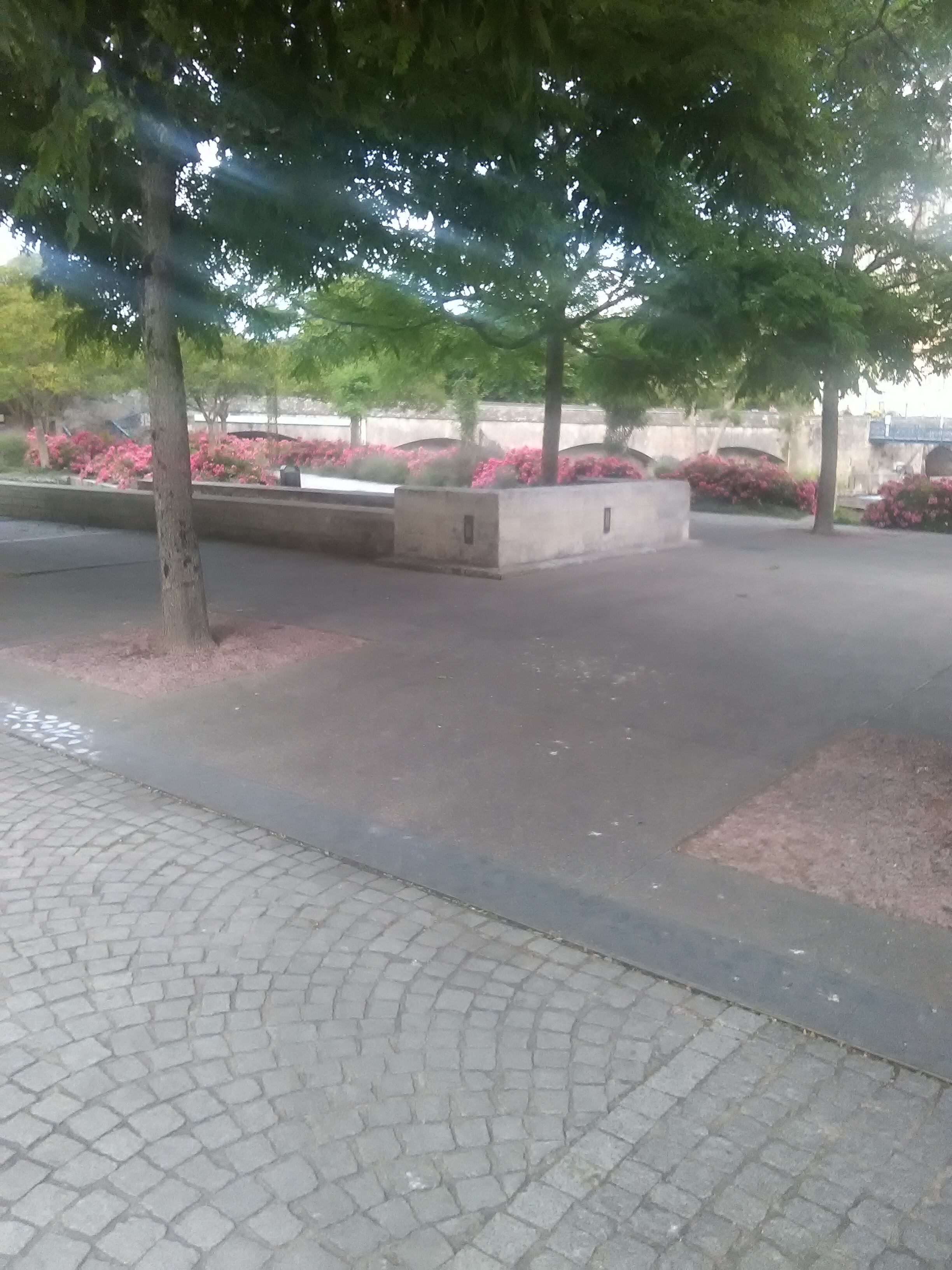 Photo n° 6 de l'avis de Cannelle.U fait le 19/06/2019 à 20:08