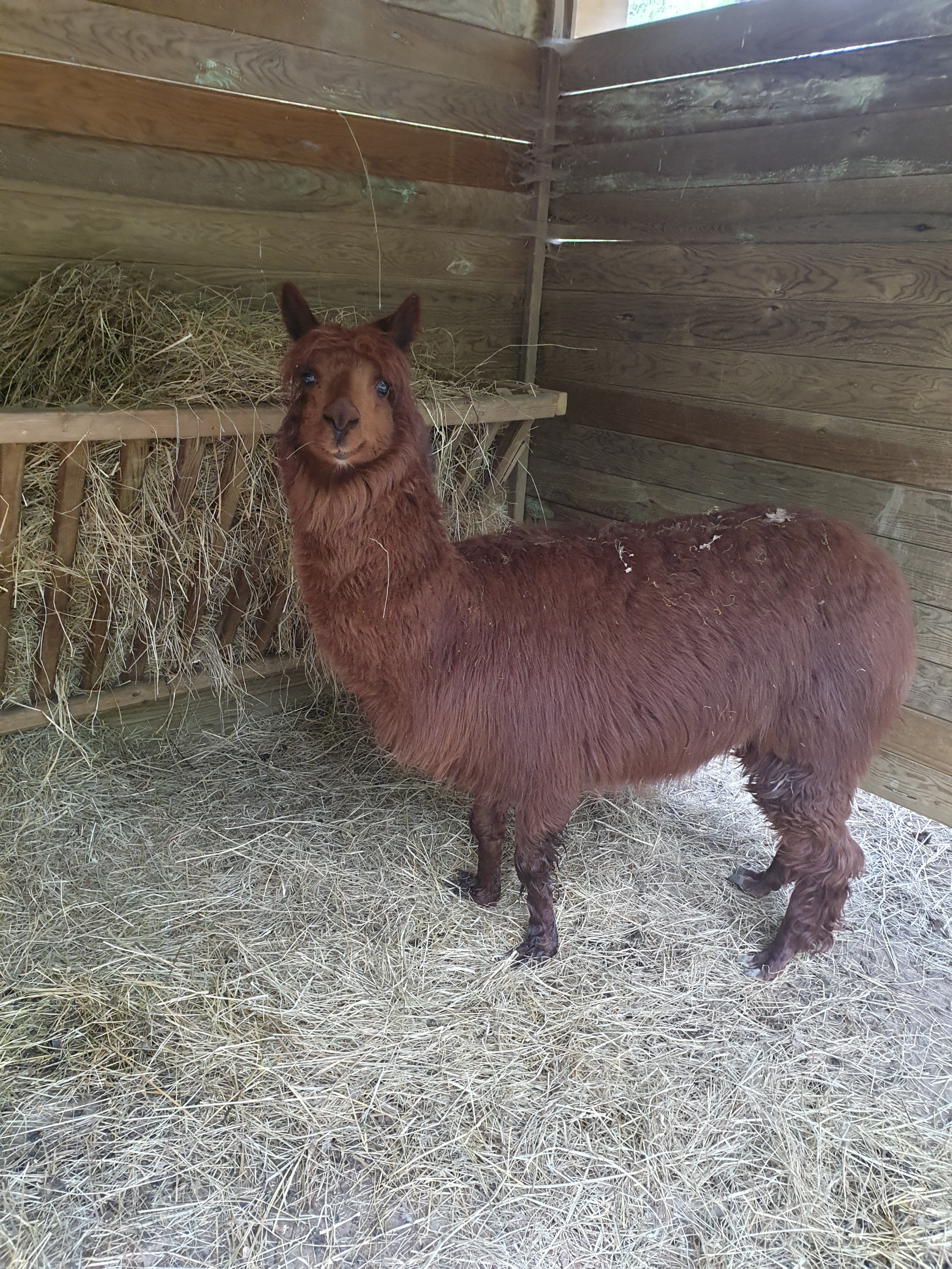 Photo n° 3 de l'avis de Anna.h fait le 23/04/2019 à 15:38