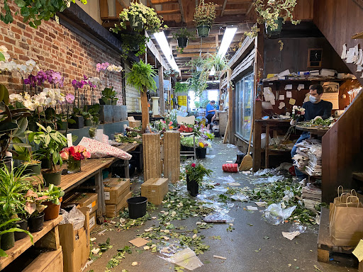 Florist «Brattle Square Florist», reviews and photos, 31 Brattle St, Cambridge, MA 02138, USA